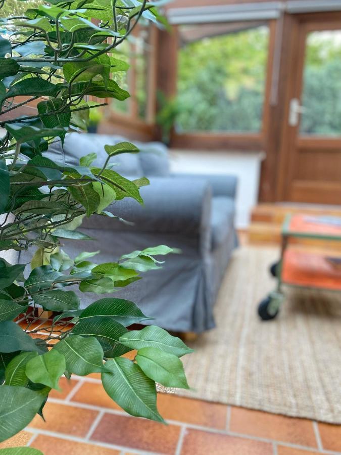 Ferienwohnung Mit Sauna Am Wald - Eifel Mechernich Eksteriør billede